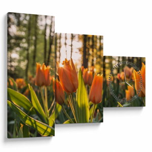 Kép - tulipánok (órával) (V020195V9070C)