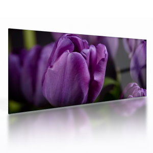 Tulipán vírág képe (üvegen) (V020215V10050GD)
