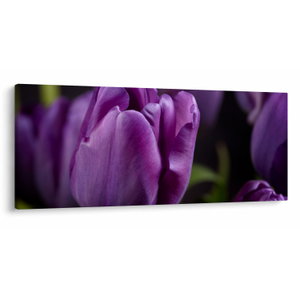 Tulipán vírág képe (V020215V12050)