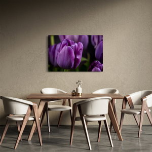 Obraz květů tulipánů (3)