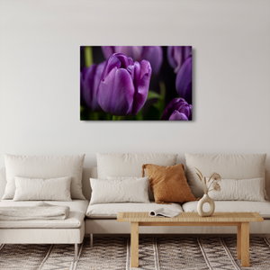 Obraz květů tulipánů (4)