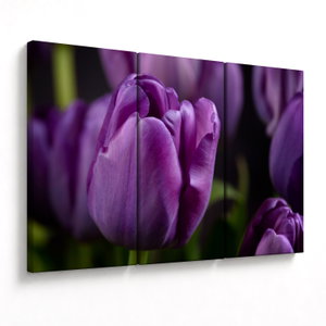 Tulipán vírág képe (V020215V120803PCS)
