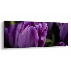 Tulipán vírág képe (V020215V14558)