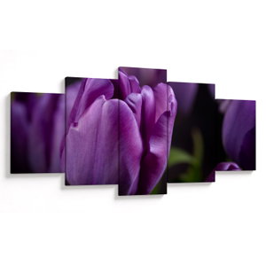 Tulipán vírág képe (V020215V150805PCS)