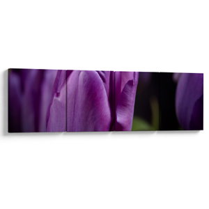Tulipán vírág képe (V020215V16040)