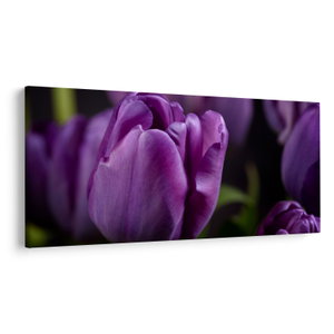 Tulipán vírág képe (V020215V250125)