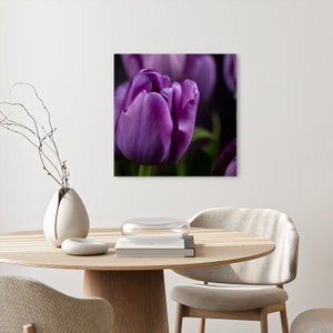 Tulipán vírág képe (üvegen) (2)