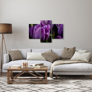 Tulipán vírág képe (3)