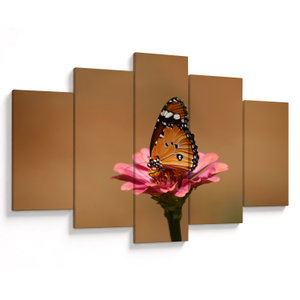 Tablou cu fluture pe floare