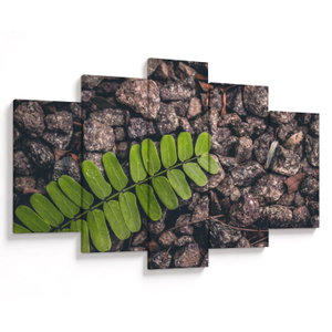 Schilderij - Groene plant