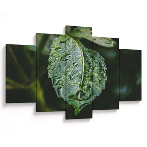 Schilderij - Druppels aan blad