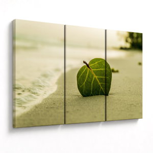 Schilderij - Blad op zand