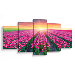 Tulipán mező és a nap képe (V020554V150805PCS)