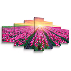 Tulipán mező és a nap képe (V020554V210100)