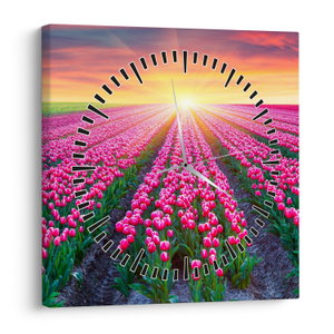 Tulipán mező és a nap képe (órával) (V020554V3030C)