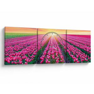 Tulipán mező és a nap képe (órával) (V020554V9030C)