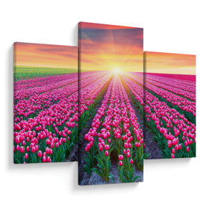 Tulipán mező és a nap képe (V020554V90603PCS)