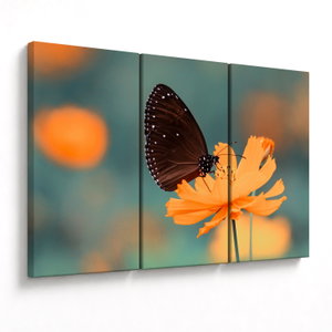 Obraz - motýl na oranžové květině (V020577V120803PCS)