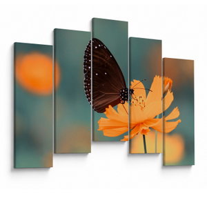 Tablou - fluture pe o floare portocalie
