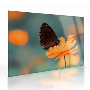 Skleněný obraz - motýl na oranžové květině (V020577V7050GD)