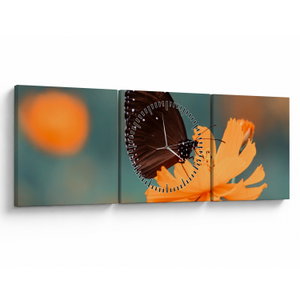 Obraz - motýl na oranžové květině (s hodinami) (V020577V9030C)