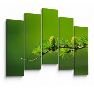 Schilderij - Groene pijnappel