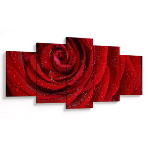 Kép - részlet a rózsáról (V020684V150805PCS)