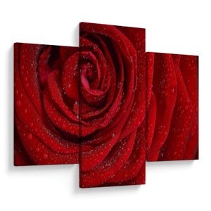 Kép - részlet a rózsáról (V020684V90603PCS)