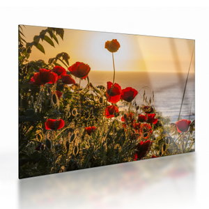 Glasbild eines Sonnenuntergangs mit Mohnblumen