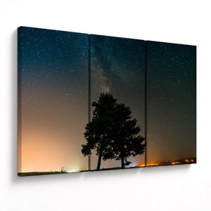 Schilderij - Nachthemel met bomen