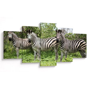 Schilderij - Zebra´s