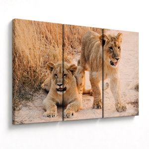 Schilderij - Leeuwtjes