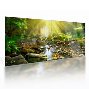 Glasschilderij - Rivier in groen bos (V020942V10050GD)