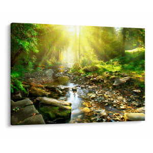 Schilderij - Rivier in groen bos (V020942V10070)