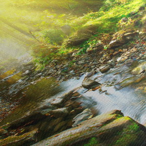 Schilderij - Rivier in groen bos (5)