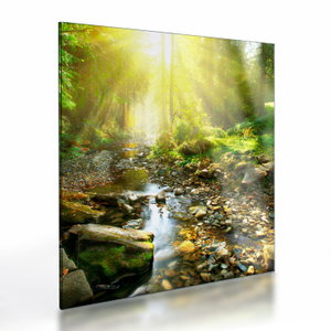 Glasschilderij - Rivier in groen bos (V020942V4040GD)