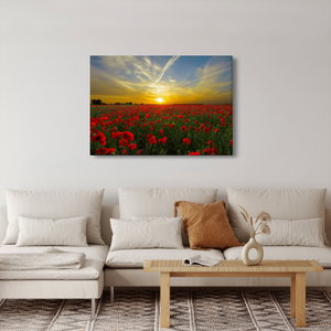 Schilderij - Klaprozenveld (2)