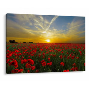 Schilderij - Klaprozenveld (V020986V10070)