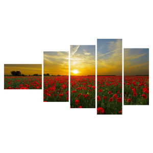 Schilderij - Klaprozenveld (6)