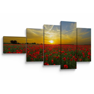 Schilderij - Klaprozenveld (V020986V11060)