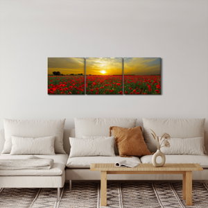 Schilderij - Klaprozenveld (4)
