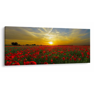 Schilderij - Klaprozenveld (V020986V12050)