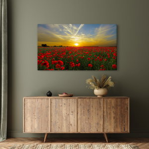 Schilderij - Klaprozenveld (3)