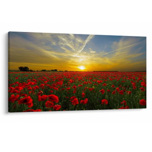 Schilderij - Klaprozenveld (V020986V12070)