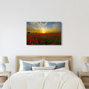 Schilderij - Klaprozenveld (3)