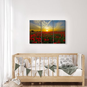 Schilderij - Klaprozenveld (3)