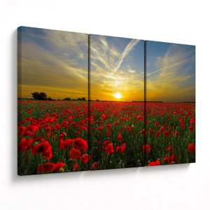 Schilderij - Klaprozenveld (V020986V120803PCS)