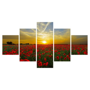 Schilderij - Klaprozenveld (6)