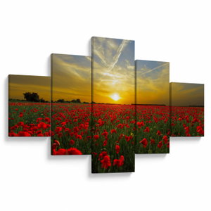 Schilderij - Klaprozenveld (V020986V12570)