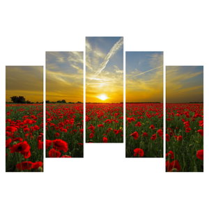 Schilderij - Klaprozenveld (6)